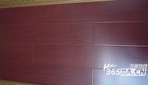 建材直通車再度發力，華東建材城精品特價大放送引領消費新熱潮