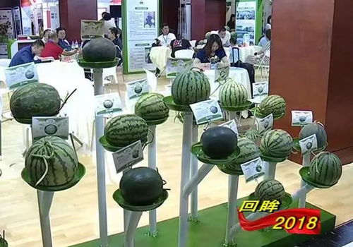 系列報道之三 堅持強農惠農 鄉(xiāng)村振興邁出堅實步伐